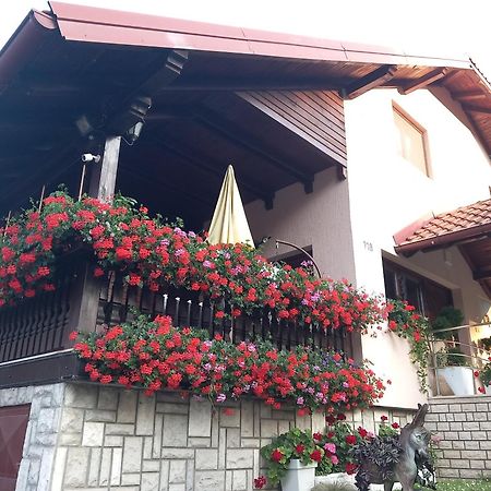 Apartment Vihor Zlatibor Exterior photo